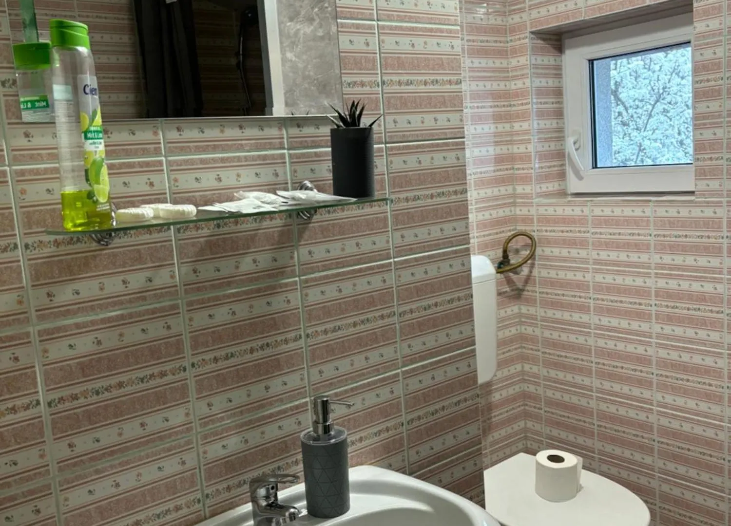 Guest house B&B Maria Bucharest