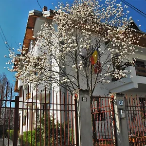 La Noblesse Bucharest