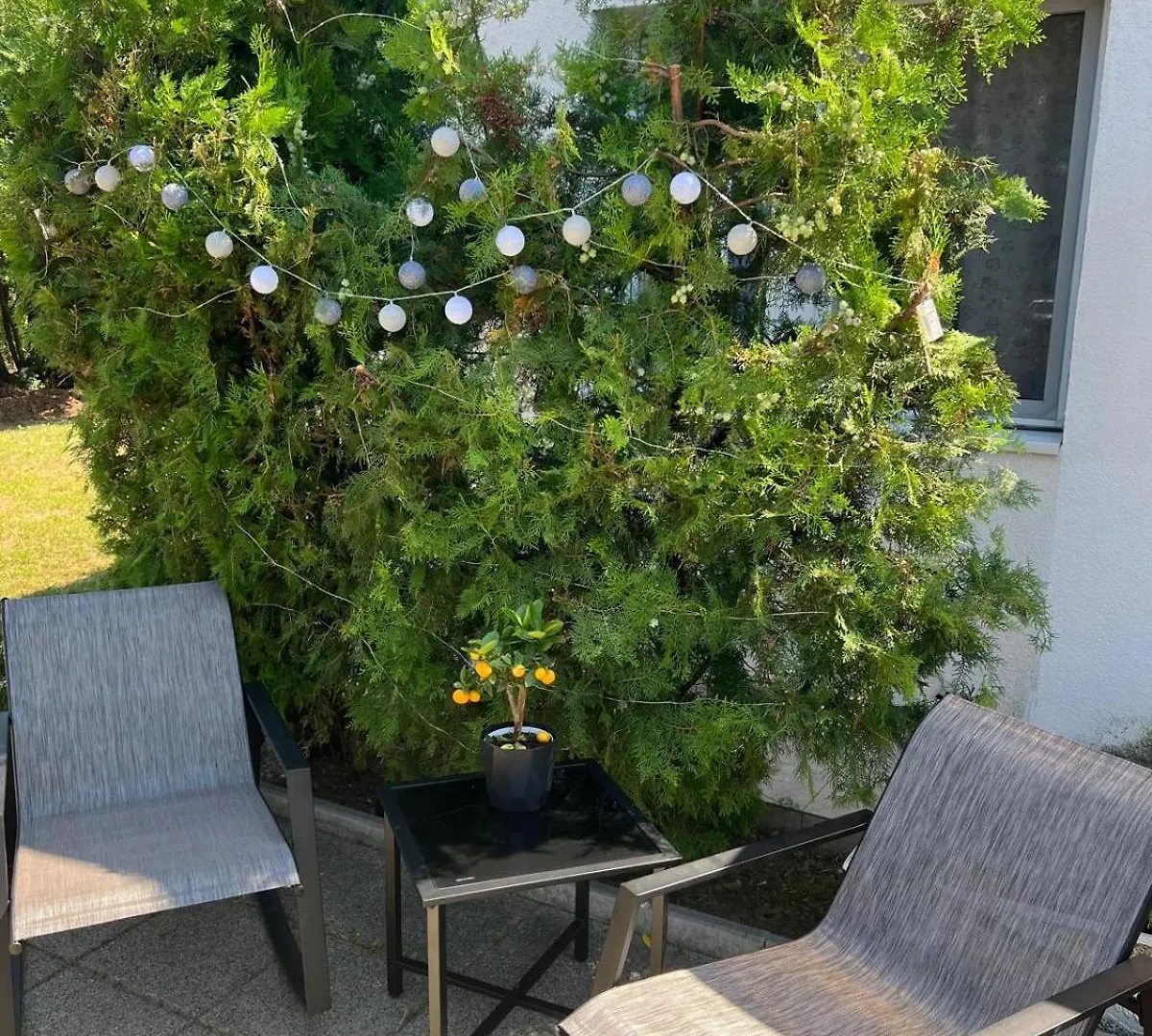 Guest house B&B Maria Bucharest