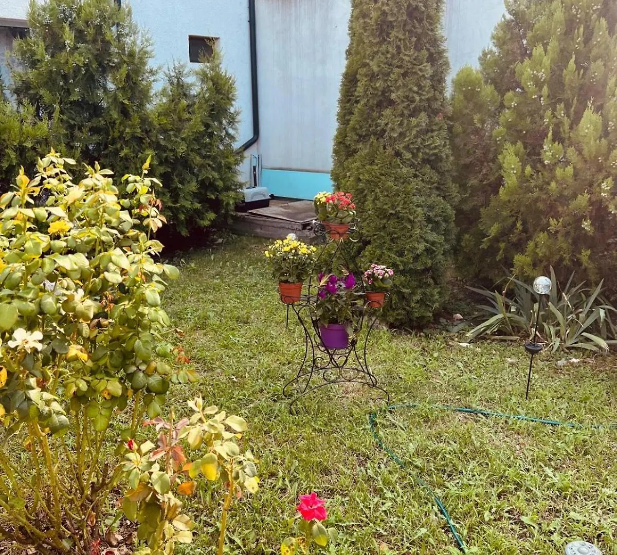 Guest house B&B Maria Bucharest
